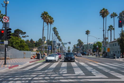 Vibrant Street Scene with Palm Trees in Venice Beach, Los Angeles photo