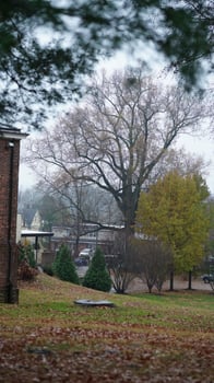 The houses view located in the USA town or countryside photo