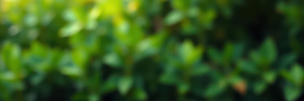 Close-up view of vibrant green foliage in a lush garden during sunny afternoon hours showcasing nature's beauty photo