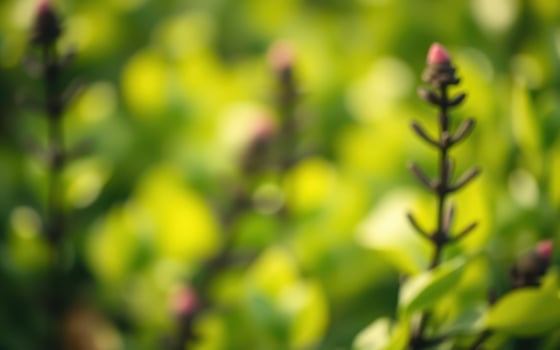 Close-up of vibrant green plants with budding flowers in a lush garden during late spring photo