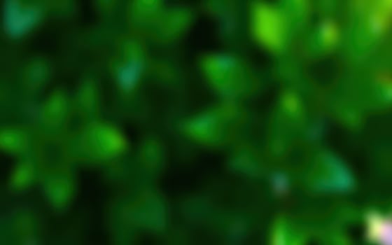 Vibrant green foliage creates a lush backdrop in a serene outdoor setting during daytime photo