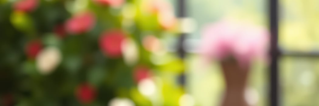 Bright flowers bloom in a sunny indoor garden showcasing vibrant colors and tranquility photo