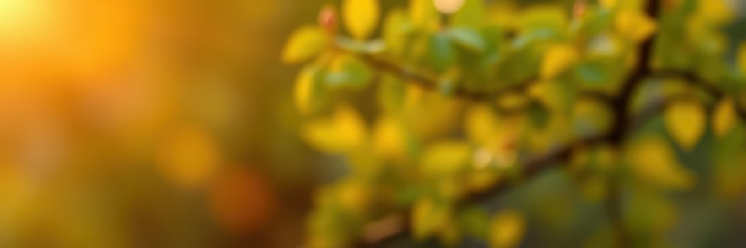 Beautiful golden hour light illuminates soft green leaves in a tranquil outdoor setting during early evening hours photo