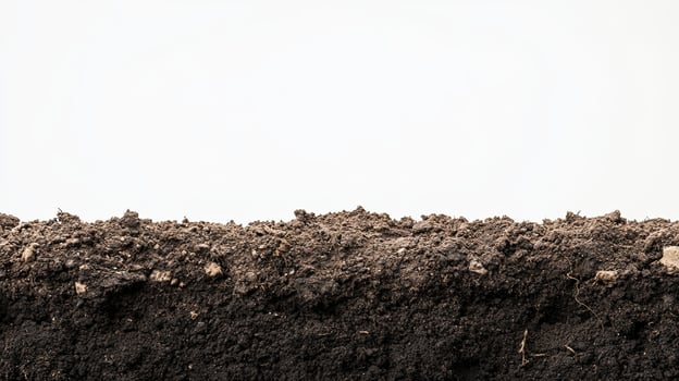 Dark soil ground texture isolated on white background photo