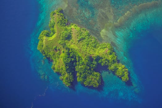 An aerial view of an island with green trees photo