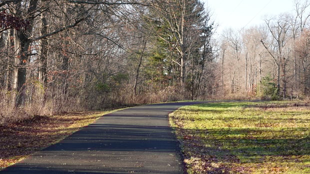 The forest view with the narrow country road across them in winter photo