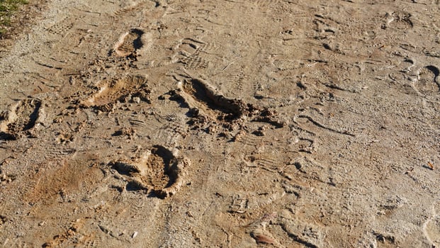 Several footprints on the wet sand land after the raining photo
