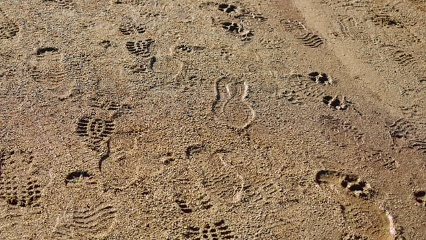 Several footprints on the wet sand land after the raining photo