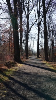 The forest landscape with one river running in the valley in winter photo