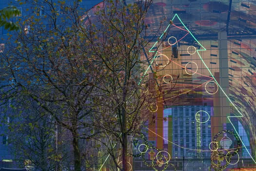 tree in the city of Rotterdam photo