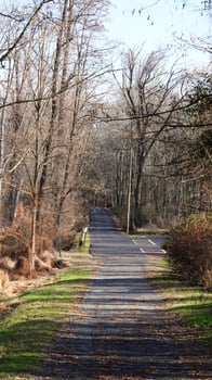 The forest view with the narrow country road across them in winter photo