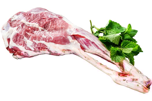 Whole raw goat leg with herbs and spices. Farm meat. Isolated on white background. Top view. photo