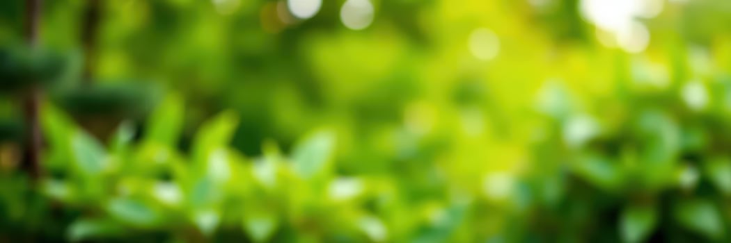 Lush green foliage creates a serene atmosphere in a sunlit garden setting during early summer afternoons photo