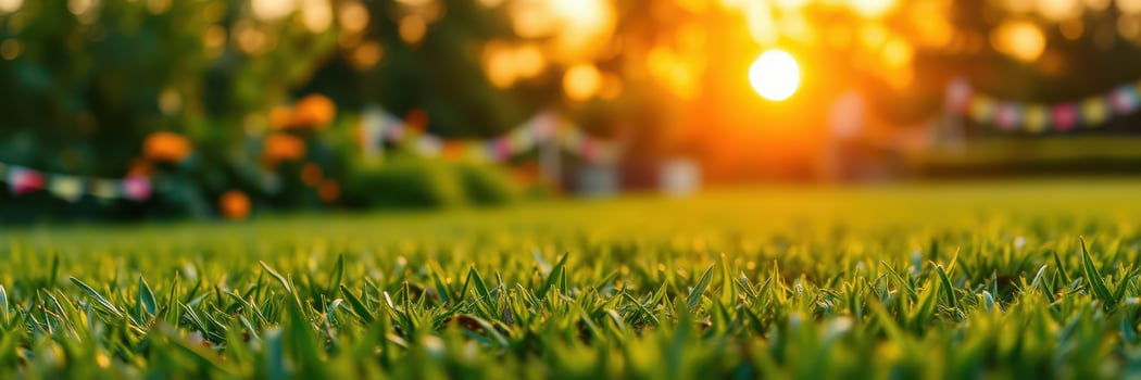 Sunlight shines on lush green grass in a vibrant garden during golden hour of the evening photo