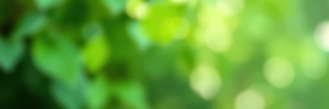 Soft sunlight filters through green leaves creating a serene atmosphere in a peaceful outdoor setting photo