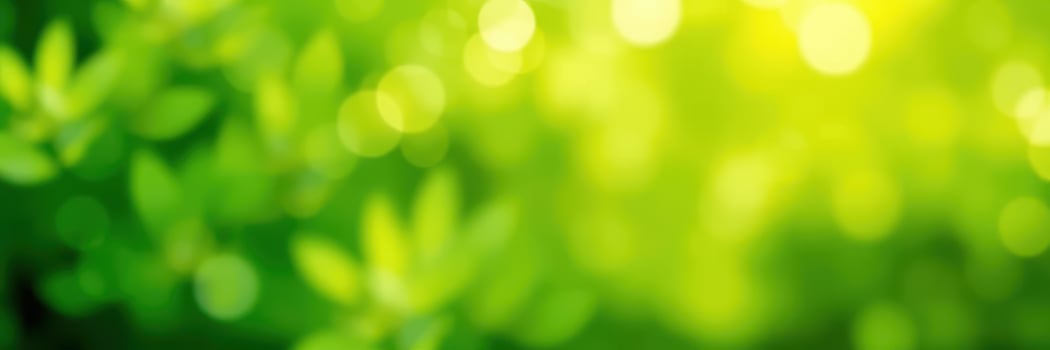 Lush green foliage with sunlight creating a dreamy atmosphere in a serene outdoor setting photo