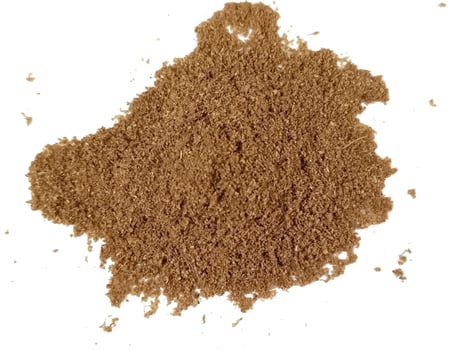Coriander powder isolated on white background photo