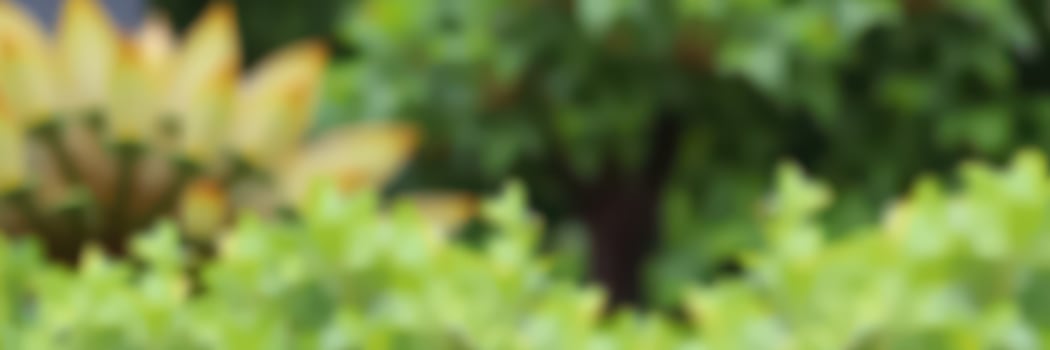 Lush green garden filled with colorful plants and vibrant flora during a sunny day photo