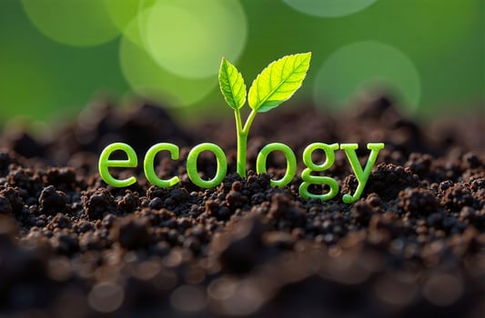 Inscription eco Ecology ground grass sprout. Environmental protection photo