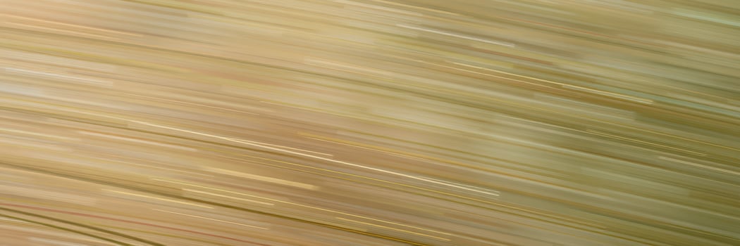 Dynamic motion blur conveying speed and energy in a golden field during sunset photo