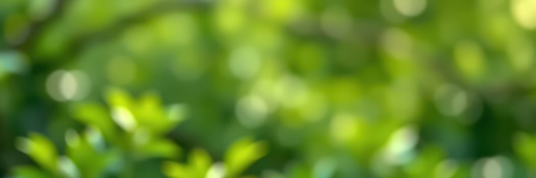 Lush greenery creates a serene backdrop in a vibrant forest setting during midday light photo