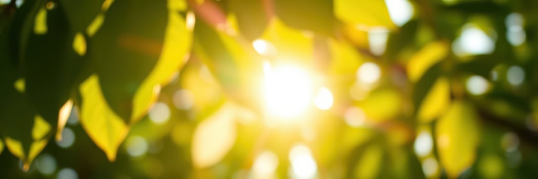 Sunlight filtering through vibrant green leaves on a warm summer day in a peaceful outdoor setting photo