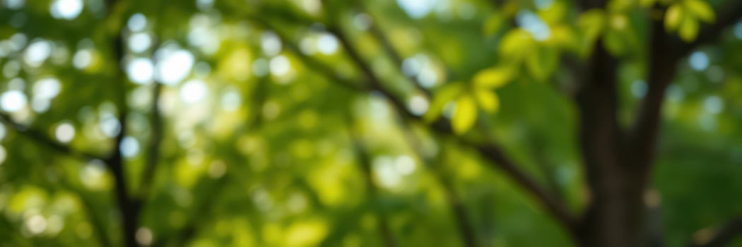 Lush greenery fills the forest, showcasing vibrant leaves during a sunny afternoon in late spring photo