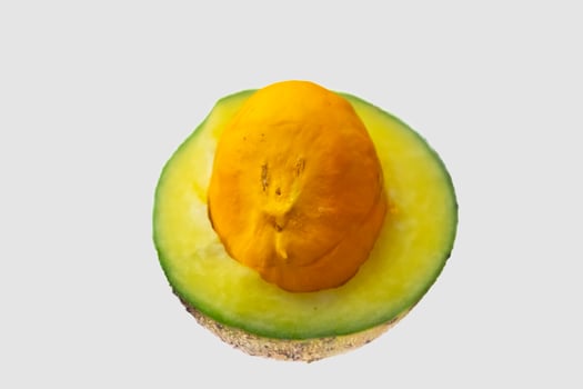 Ripe Pequi fruit Caryocar brasiliense, wild fruits typical of the Brazilian cerrado biome. photo