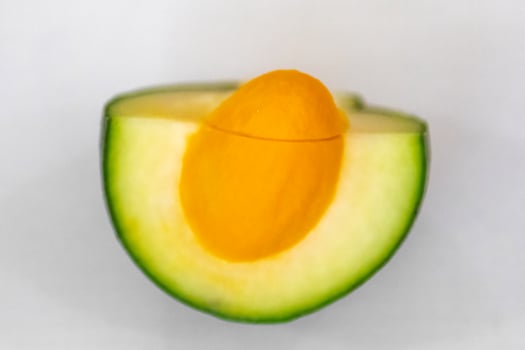 Ripe Pequi fruit Caryocar brasiliense, wild fruits typical of the Brazilian cerrado biome. photo