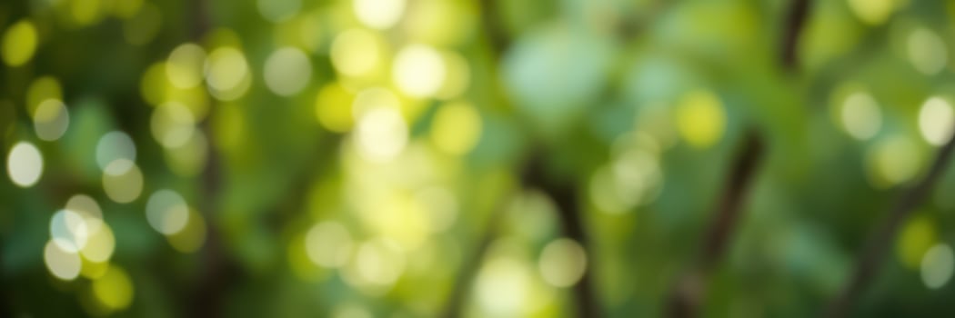 Vibrant greenery in a sunlit forest showcasing a bokeh effect with soft light filtering through leaves photo