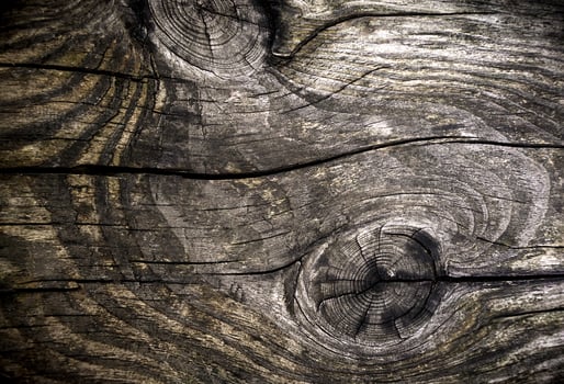 Background of natural wood. Old wood with cracks. Close-up. Selective focus. photo