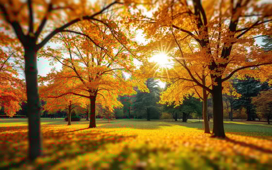 Golden autumn leaves create a serene landscape in a sunny park at midday photo