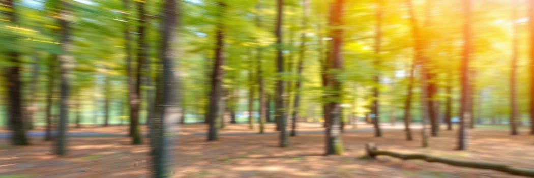 Lush green forest with blurred trees creating a tranquil atmosphere during a sunny day in autumn photo