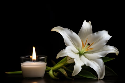 Elegant white lily and candle on black background photo