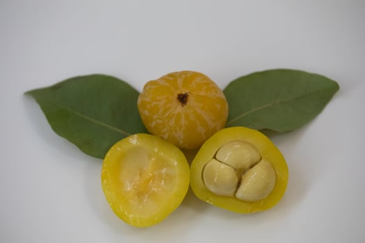 Ripe edible wild fruit from the Brazilian cerrado biome, fruit known as cagaita Stenocalyx dysentericus of the Magnoliopsida class and the Myrtaceae family. photo
