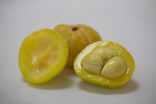 Ripe edible wild fruit from the Brazilian cerrado biome, fruit known as cagaita Stenocalyx dysentericus of the Magnoliopsida class and the Myrtaceae family. photo