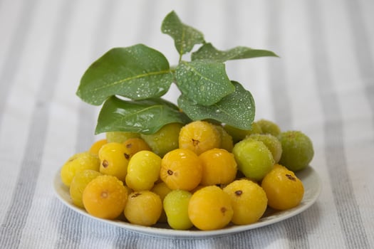Ripe edible wild fruit from the Brazilian cerrado biome, fruit known as cagaita Stenocalyx dysentericus of the Magnoliopsida class and the Myrtaceae family. photo