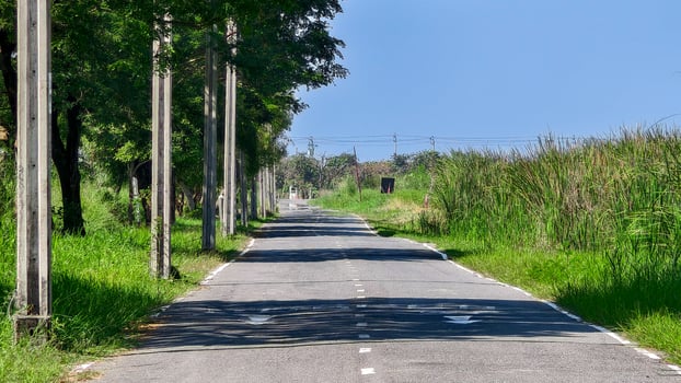 country road with power lines photo