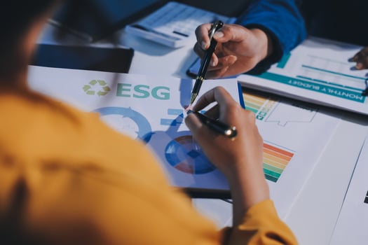 Essg is a global leader in sustainability consulting photo