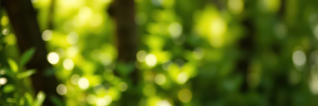 Lush green foliage sparkling in sunlight highlights nature's beauty during a tranquil afternoon in a forest photo