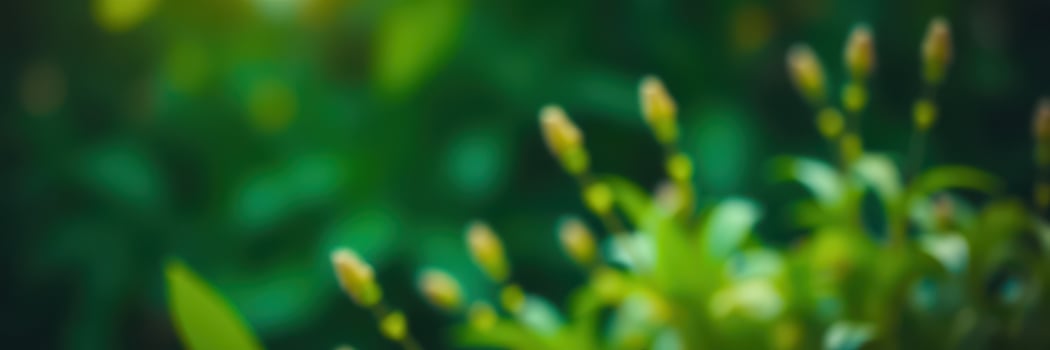 Vibrant flowers blossoming in a lush garden during spring, showcasing nature's beauty and growth photo