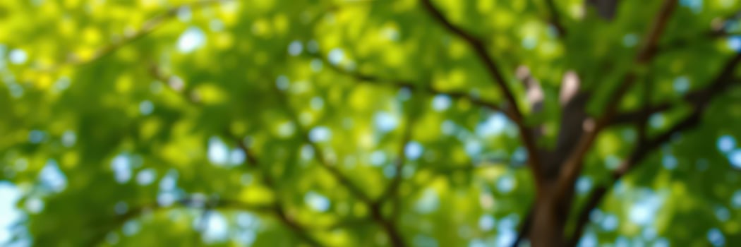 Lush green foliage illuminated by sunlight filtering through a vibrant canopy in an outdoor setting during daytime photo