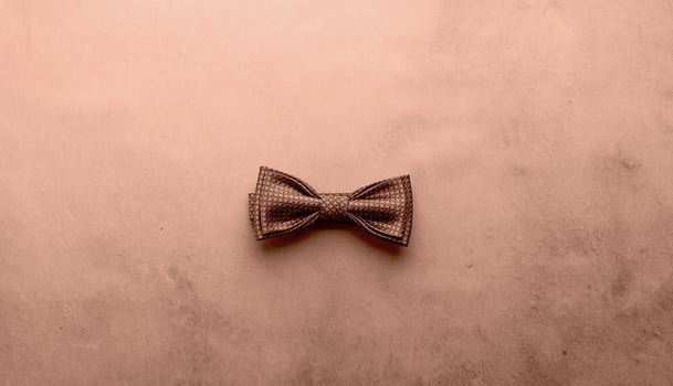 Elegant brown textured bow tie on minimalist background photo
