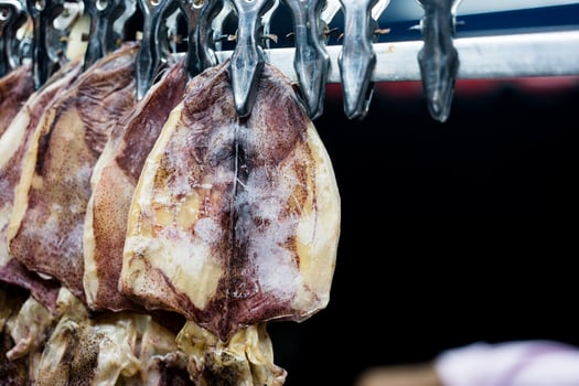 Grilled sea food dried squid photo