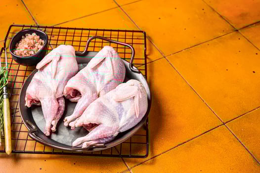Raw whole quails ready for cooking. Orange background. Top view. Copy space photo