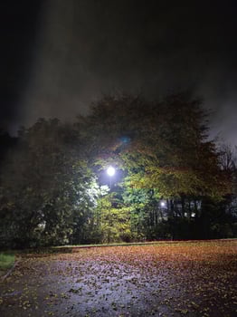Lamp post and night lights surrounded by trees romantic natural background photo
