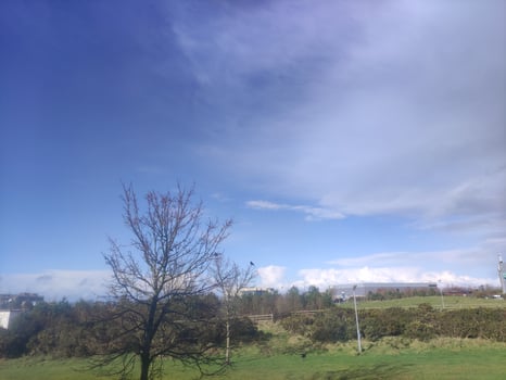 Sunny day in the park background photo
