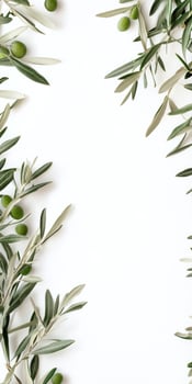 Fresh olive branches with green olives on white background photo