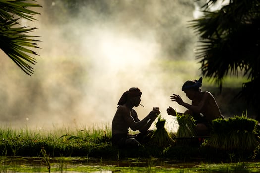 A farmer taking a break and smoking on the earthen dyke photo