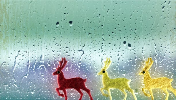 Holy Christmas New Year Eve Decoration Deer Toys near the Window Glass in Rainy Day photo
